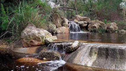 Sons d’Eau Apaisants et Calme Profond 4K | Écho de Cascade