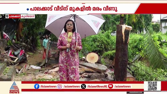 'എട്ട് സ്റ്റിച്ചുണ്ട് തലയിൽ'; പാലക്കാട് വീടിന് മുകളിൽ മരം വീണ് വയോധികയ്ക്ക് പരിക്ക്