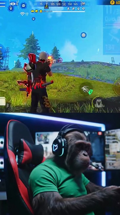 Free Fire
