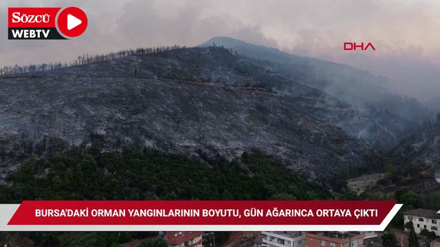 Bursa'daki orman yangınlarının boyutu, gün ağarınca ortaya çıktı