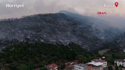 Bursa'daki orman yangınlarının boyutu, gün ağarınca ortaya çıktı