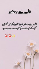 InShot_20250609_105640236_20250609_112936