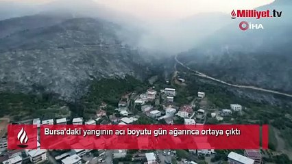 Bursa'daki yangının acı boyutu gün ağarınca ortaya çıktı