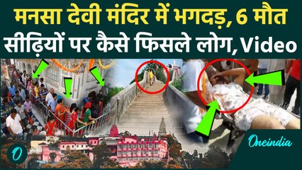 Mansa Devi Stampede Video: मंदिर की सीढ़ियों पर भगदड़ में 6 लोगों की मौत, किसकी गलती थी | Haridwar