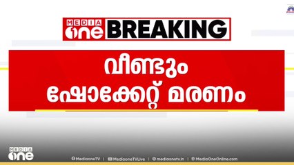 പാലക്കാട് കൊടുമ്പിൽ കർഷകൻ ഷോക്കേറ്റ് മരിച്ചു