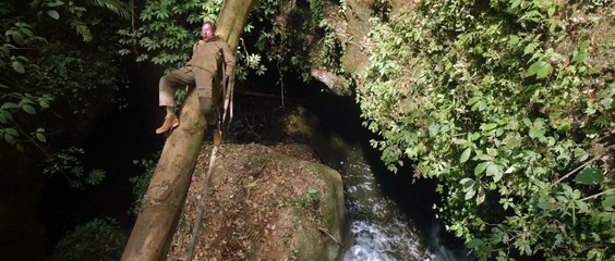 Monster-Island-2025-WEBDL-1753495698