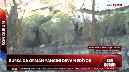Bursa’da orman yangını köy kapısına dayandı! Karahıdır Köyü'nde son durum