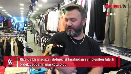 Rize sokaklarında fularlı ördek! ‘Çok şaşırttı, bu nereden geldi şimdi’