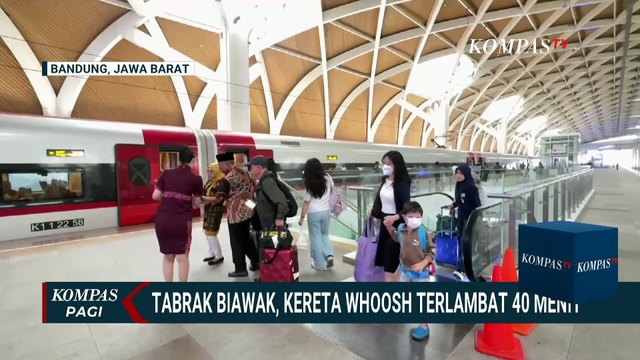 Kereta Cepat Woosh Terlambat 40 Menit Usai Tabrak Seekor Biawak | KOMPAS PAGI