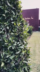 Sambara Inn Larkana ❤ #maxrecords #villagelife #larkana #sindh #pakistan