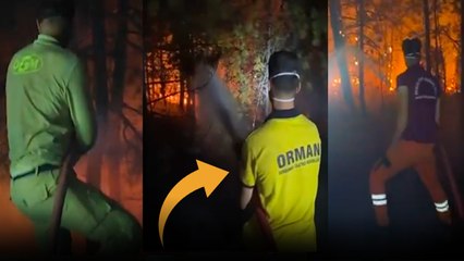 Orman Bakanlığı paylaştı: Bu görüntülere yüzlerce soru yağdı