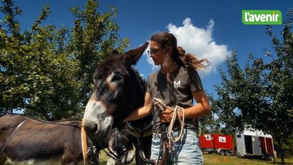 Marine et son âne Léo, vedettes de la Petite Foire Paysanne à Tournay