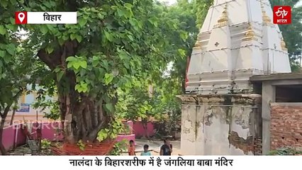 500 साल से शिवलिंग की रक्षा कर रहे नाग-नागिन, कैलाश पर्वत से जुड़ा है मंदिर का रहस्य