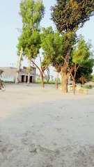 My Village is best ❤ #maxrecords #villagelife #larkana #sindh #pakistan