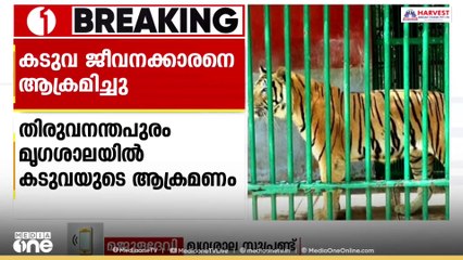 തിരുവനന്തപുരം മൃഗശാലയിൽ കൂട് കഴുകുന്നതിനിടെ ജീവനക്കാരനെ കടുവ ആക്രമിച്ചു; തലയ്ക്ക് പരിക്ക്