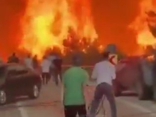 Großer Waldbrand in Türkei: 1.300 Menschen in Bursa fliehen vor Flammen 🔥 - thumbnail