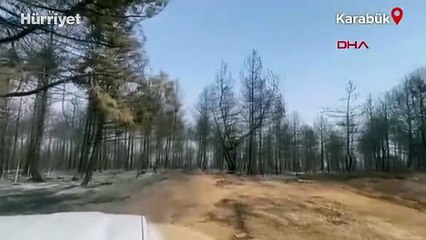 Karabük’teki orman yangınları 5’inci günde