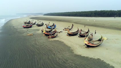 Stunning View of the Beach Filled with Boats