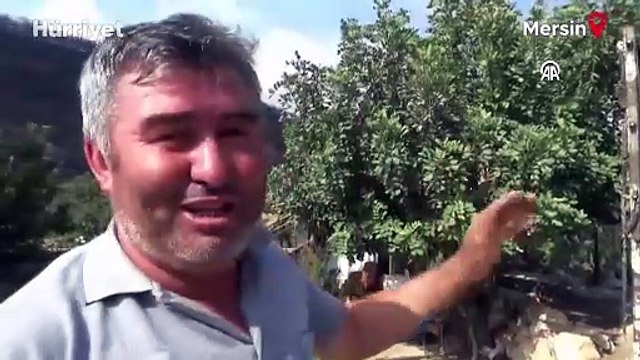 Mersin'in Silifke ilçesindeki orman yangınında son durum