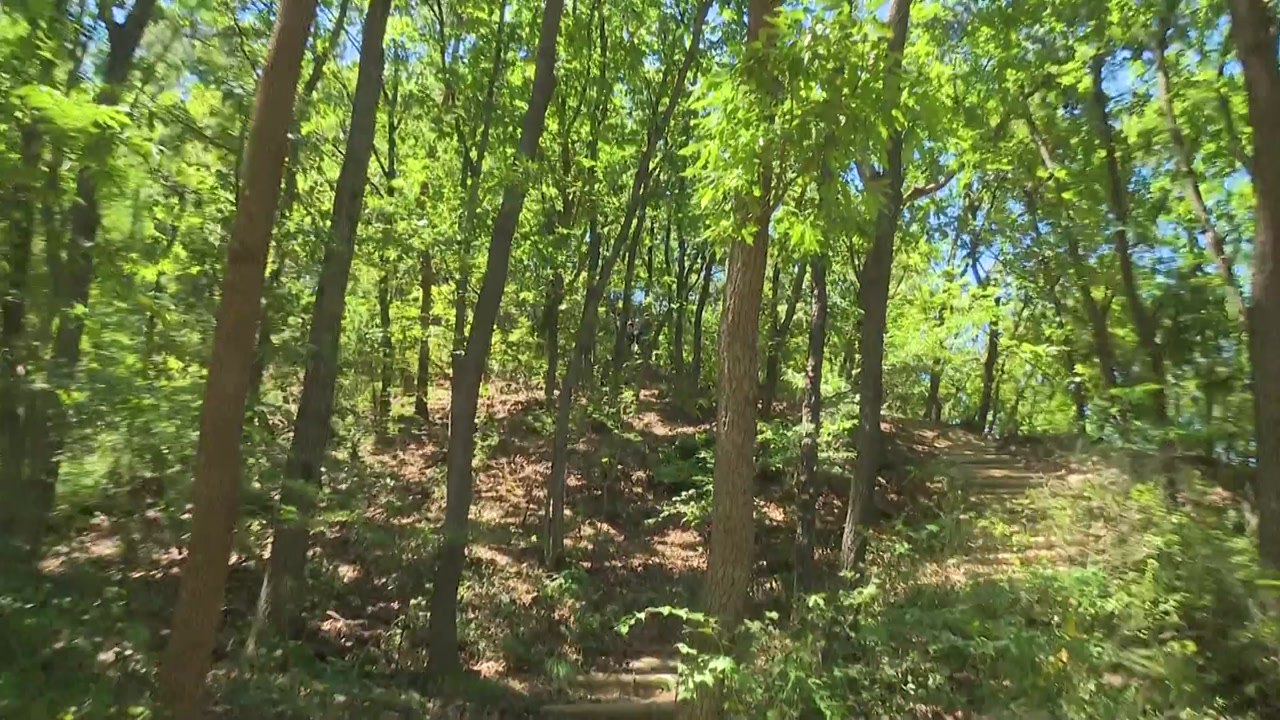 의정부 50대 여성 살해 혐의 피의자 숨진 채 발견 / YTN