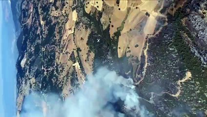 Son Dakika... BURSA'DA ORMAN YANGININA HAVADAN MÜDAHALE! Uçaklar peş peşe yükseldi: İşte o görüntüler