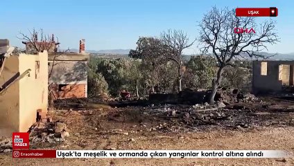 Uşak'ta meşelik alan ve ormanda çıkan 2 yangın kontrol altına alındı
