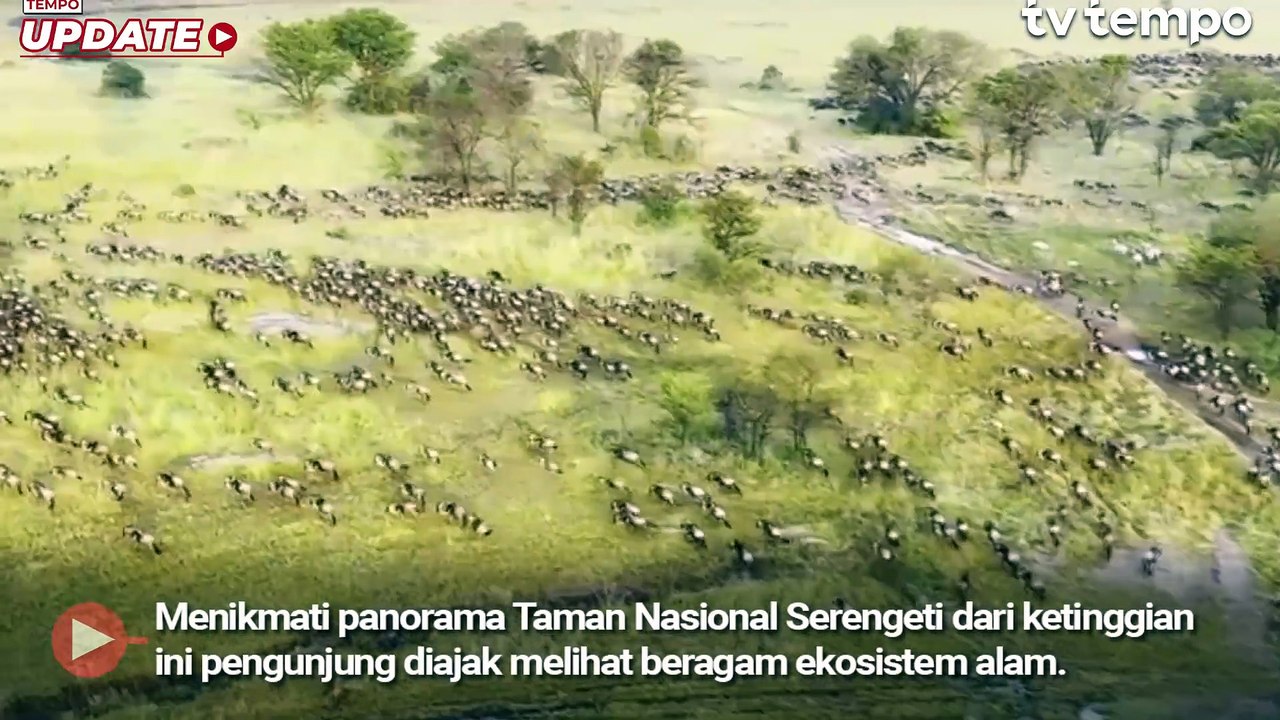 Safari Balon Udara di Taman Nasional Serengeti Jelajahi Panorama Tanzania