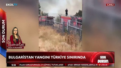 Bulgaristan'daki yangın Türkiye sınırına dayandı!