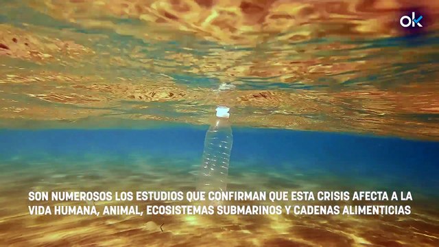 Los científicos piden que paremos de retirar los plásticos del océano por esta increíble razón