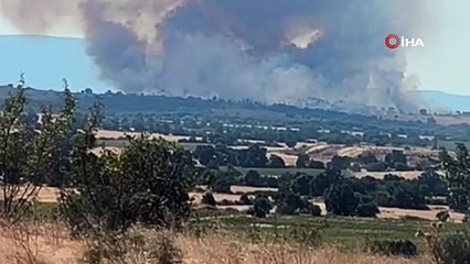 Edirne'de kırmızı alarm... Bulgaristan'daki orman yangını sınırımıza dayandı