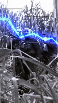 Funcionários de transportadora são investigados por envolvimento em esquema de roubos de cargas; assista