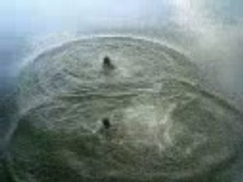 Vidéo-0002