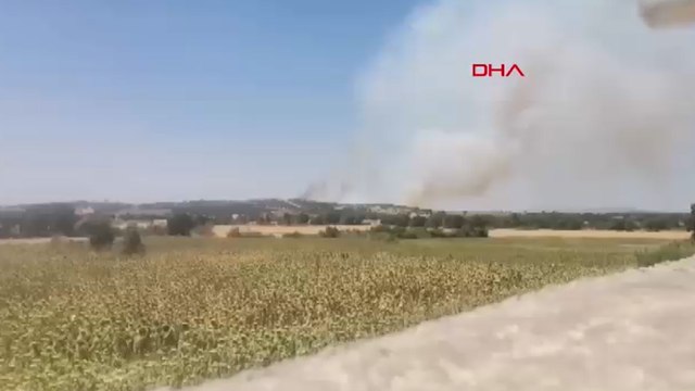 Bulgaristan’daki orman yangını, Türkiye sınırına ulaştı