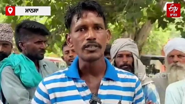 ਕਬੂਤਰਾਂ ਦੇ ਸ਼ੌਕੀਨ 13 ਸਾਲਾਂ ਬੱਚੇ ਦਾ ਕਤਲ, ਪਰਿਵਾਰ ਨੇ ਕਬੂਤਰ ਮਾਲਕਾਂ 'ਤੇ ਲਾਏ ਗੰਭੀਰ ਇਲਜ਼ਾਮ