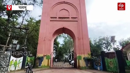 कौन थी पहली बाघिन जिसकी हड्डियों को पहली बार आपस में जोड़ा गया, आज भी बेतला नेशनल पार्क में है मौजूद