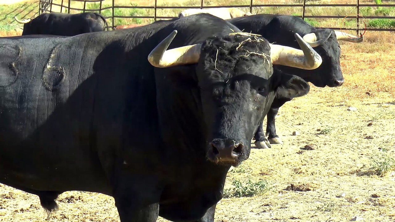 TOrREALTA para Huelva