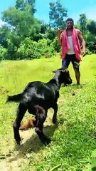 🙆‍♂️🙆‍♂️🙆‍♂️🙆‍♂️🙆‍♂️_#foryou_#funny(360p)