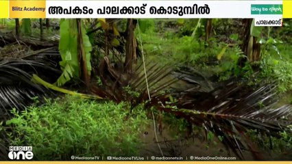 പാലക്കാട്ട് കർഷകനും തിരുവനന്തപുരം ആറ്റിങ്ങലിൽ വയോധികയും ഷോക്കേറ്റ് മരിച്ചു