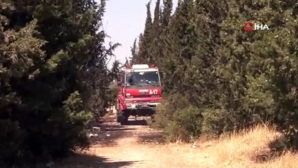 Buca’daki orman yangını kontrol altına alındı