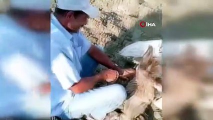 Kars’ta çamura saplanan eşek kurtarıldı