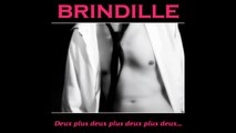 Deux plus deux plus deux plus deux... (VO) - Brindille