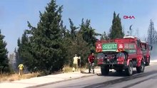 İzmir'deki orman yangını kontrol altına alındı