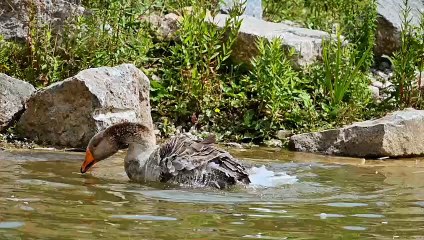 How to achieve peace of mind in today's fast-paced era?