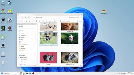 🌈 Como PONER un COLOR de FONDO en una FOTO en WINDOWS 11