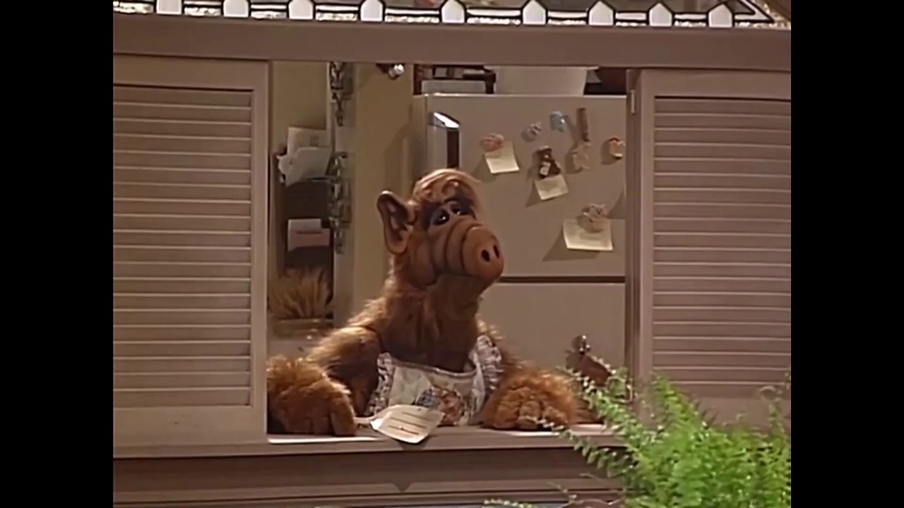ALF Staffel 1 Folge 11 'Fröhliche Ferien' Deutsch HD