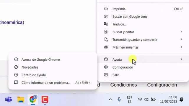 Como saber si mi Google Chrome esta actualizado (Rápido y fácil)