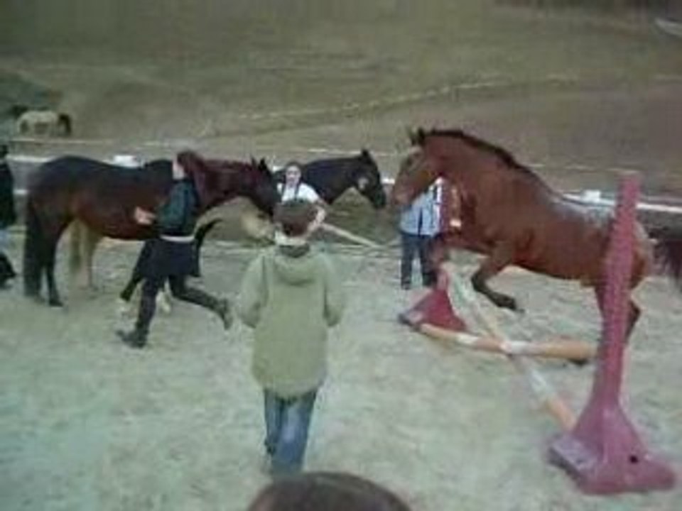 saut jivaro et mégane