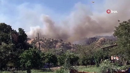 Zirai alan yangınına havadan ve karadan müdahale