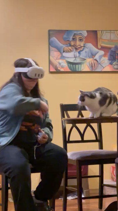 Clumsy Cat Moments🤣🐱