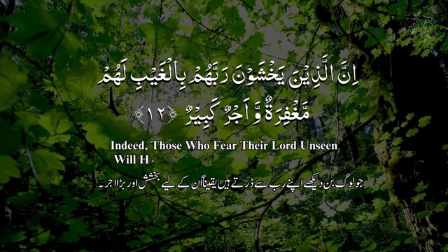 Surah Al-Mulk | The Protector Surah 🌙 | Peaceful Night Recitation #SurahMulk #QuranRecitation #IslamicVideo